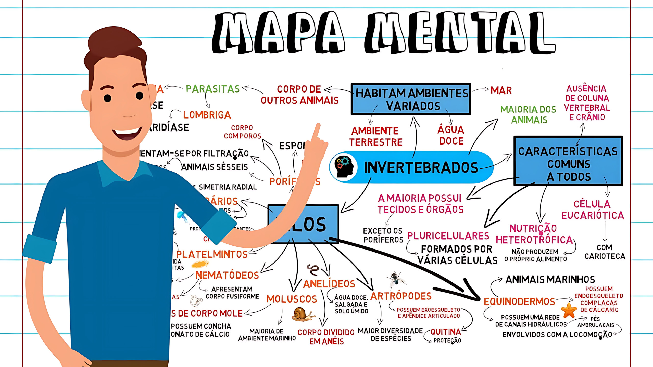 MAPA MENTAL SOBRE INVERTEBRADOS