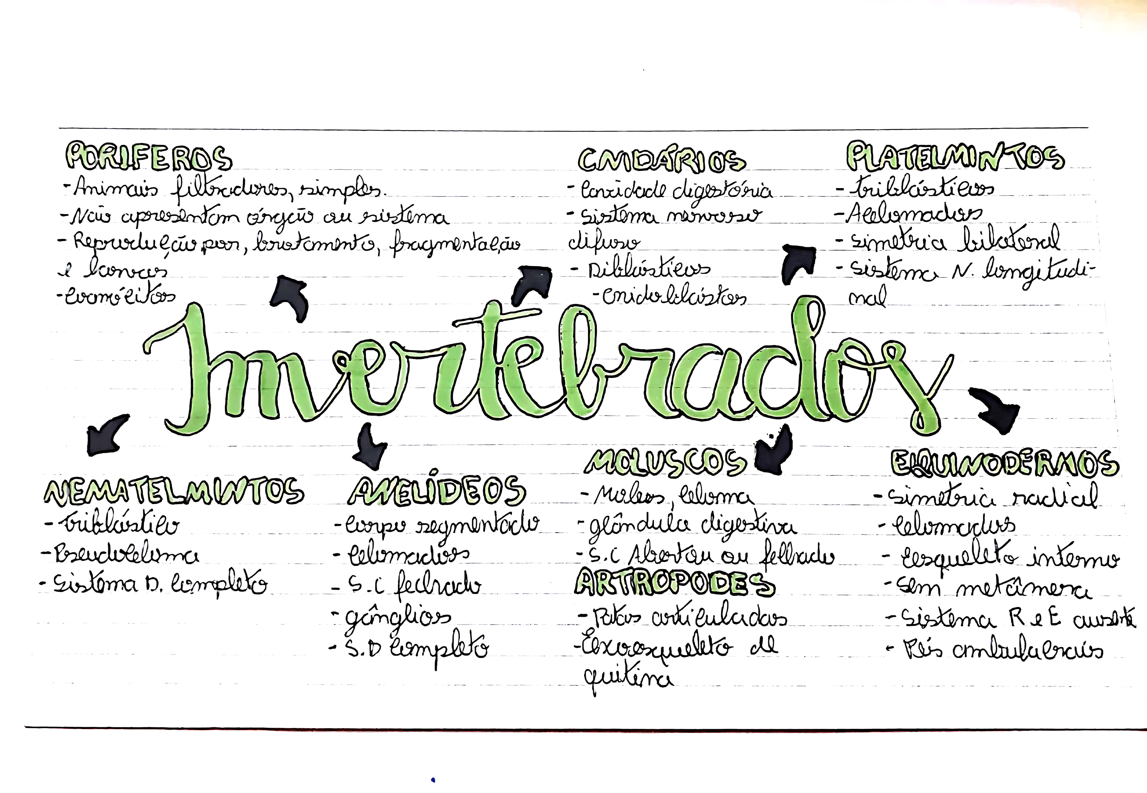 MAPA MENTAL SOBRE INVERTEBRADOS
