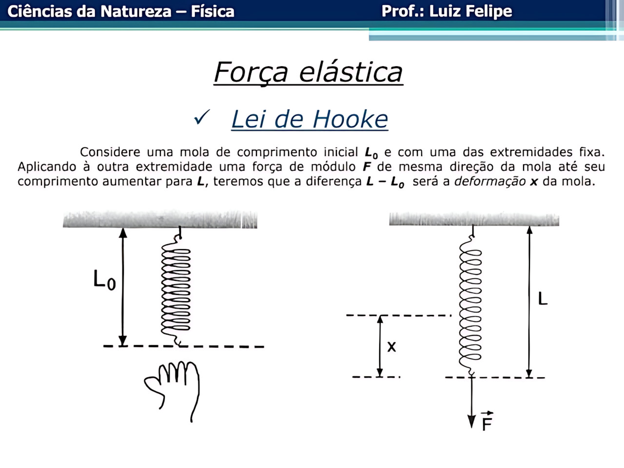 MAPA MENTAL SOBRE LEI DE HOOKE