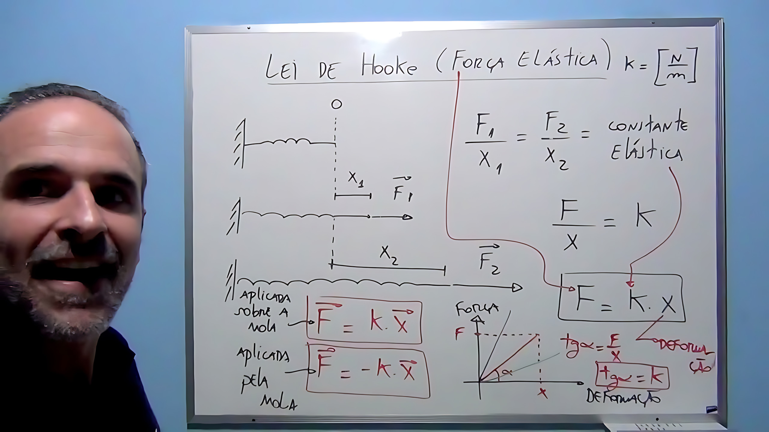 MAPA MENTAL SOBRE LEI DE HOOKE