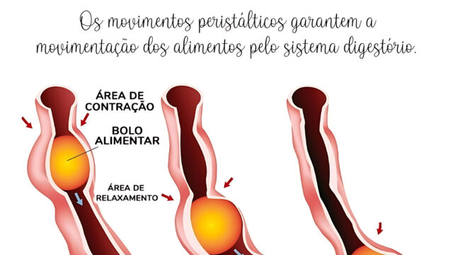 MOVIMENTOS PERISTÁLTICOS