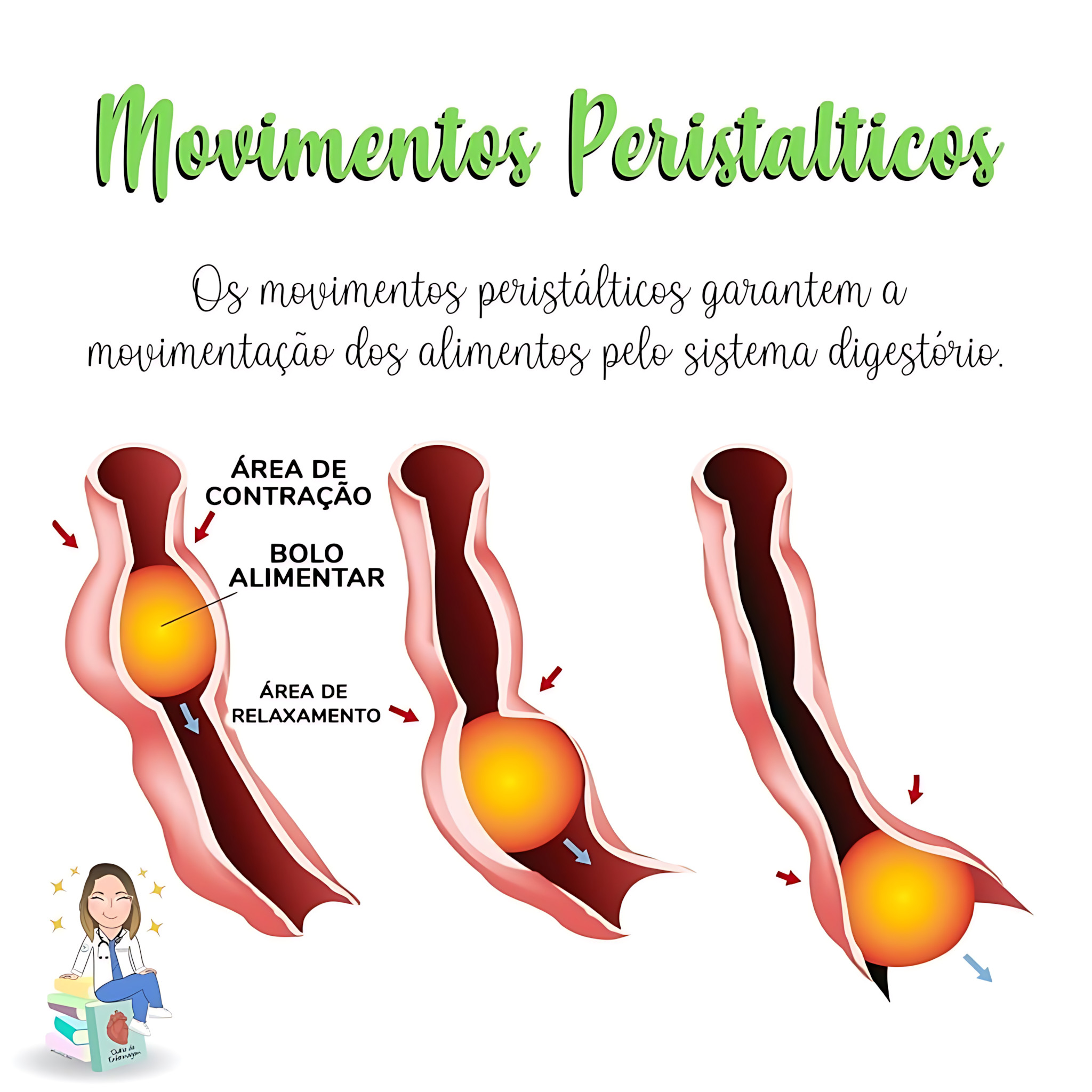 MAPA MENTAL SOBRE MOVIMENTOS PERISTÁLTICOS