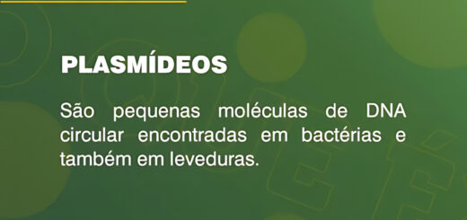 MAPA MENTAL SOBRE PLASMIDEOS