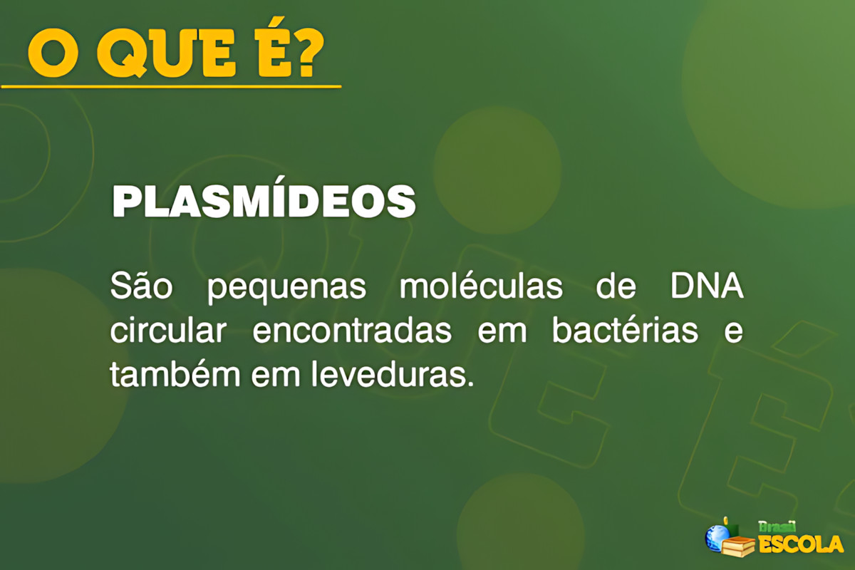 MAPA MENTAL SOBRE PLASMIDEOS