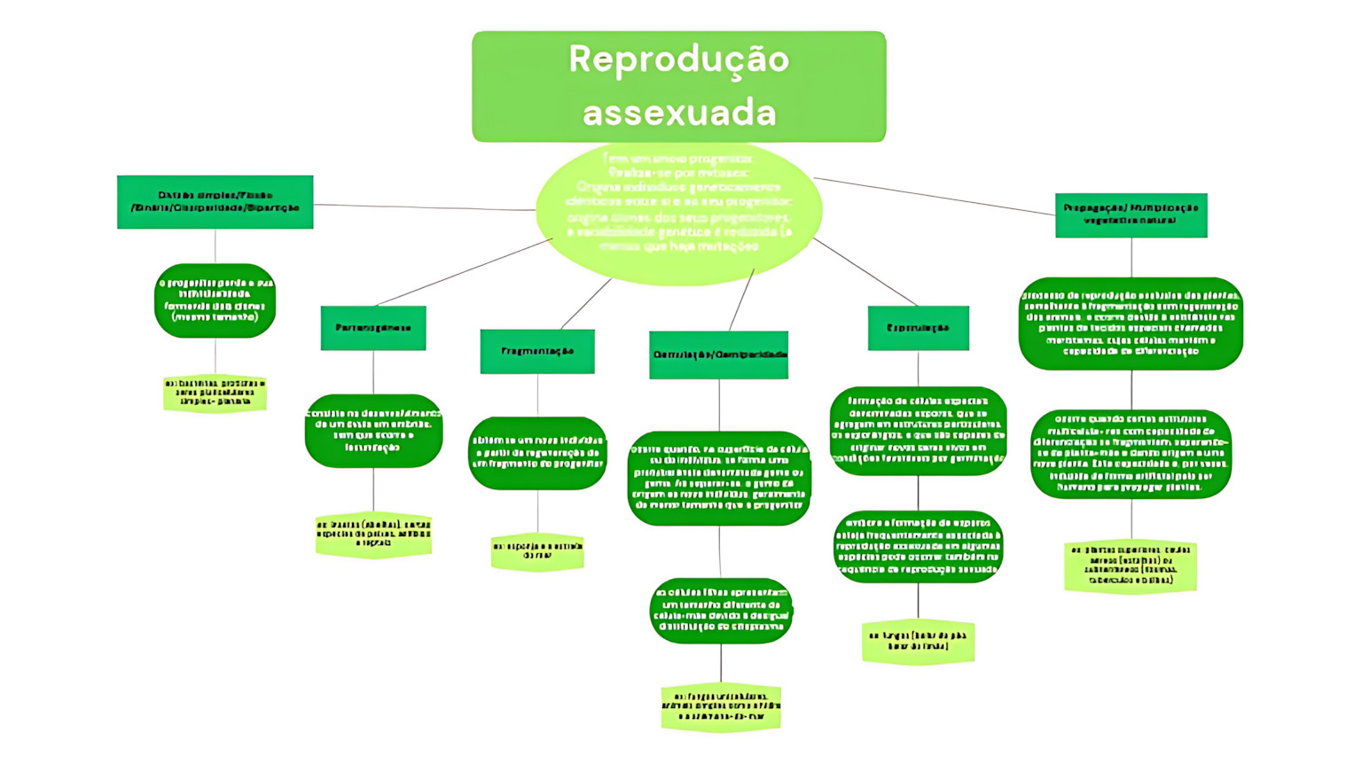 MAPA MENTAL SOBRE REPRODUÇÃO ASSEXUADA