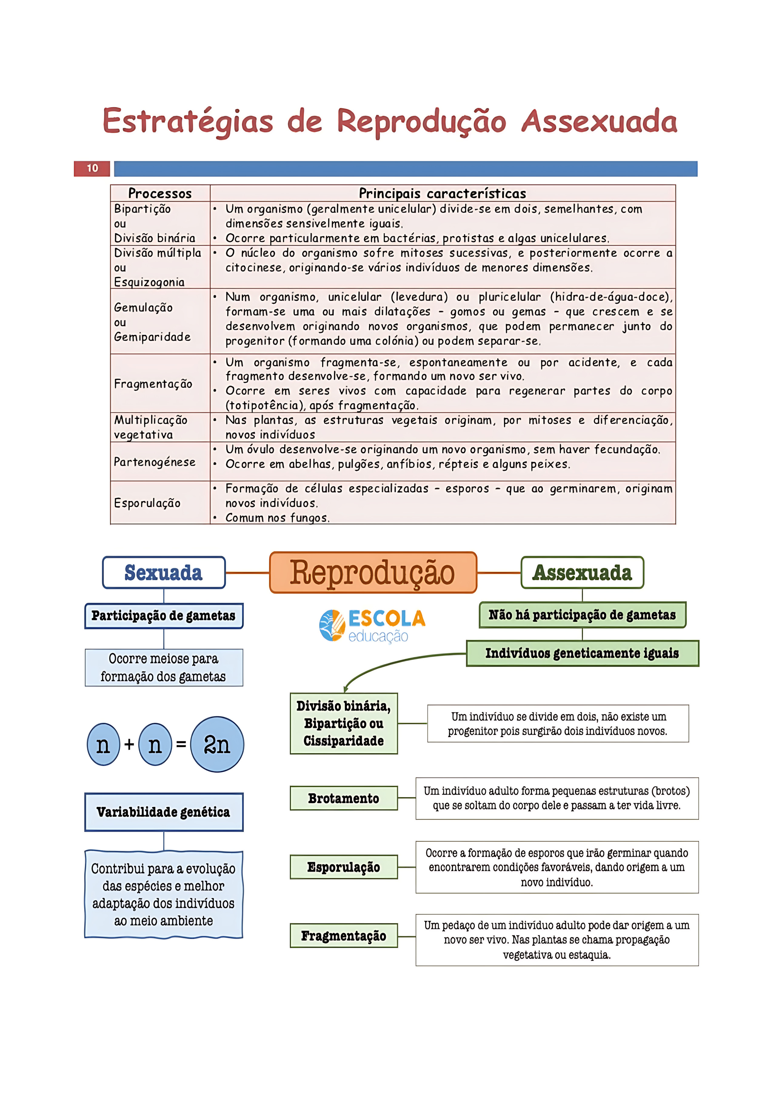MAPA MENTAL SOBRE REPRODUÇÃO ASSEXUADA