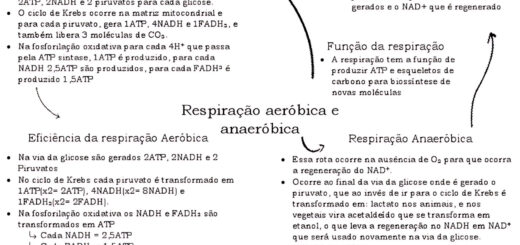 MAPA MENTAL SOBRE RESPIRACAO AEROBICA E ANAEROBICA