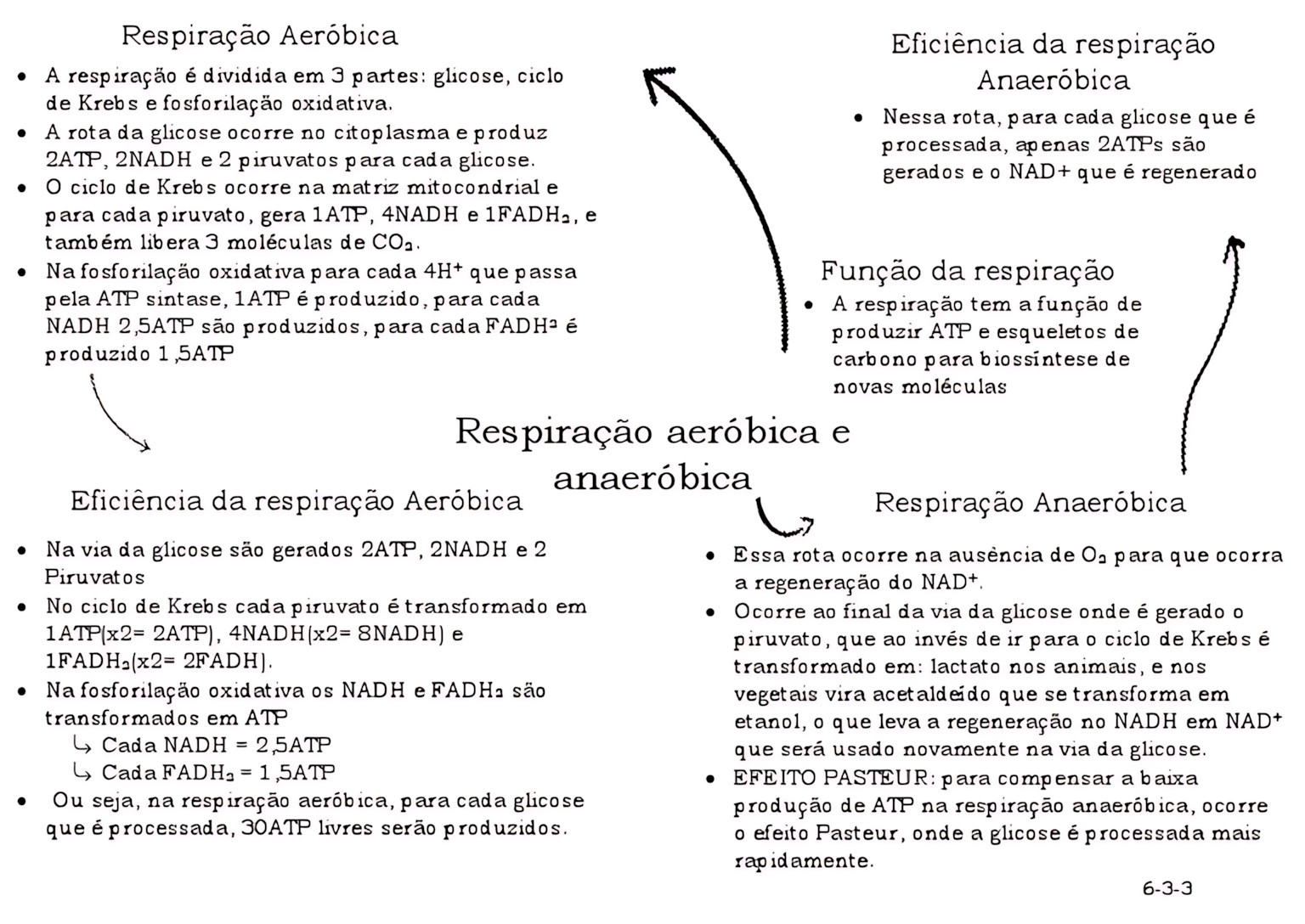 MAPA MENTAL SOBRE RESPIRACAO AEROBICA E ANAEROBICA