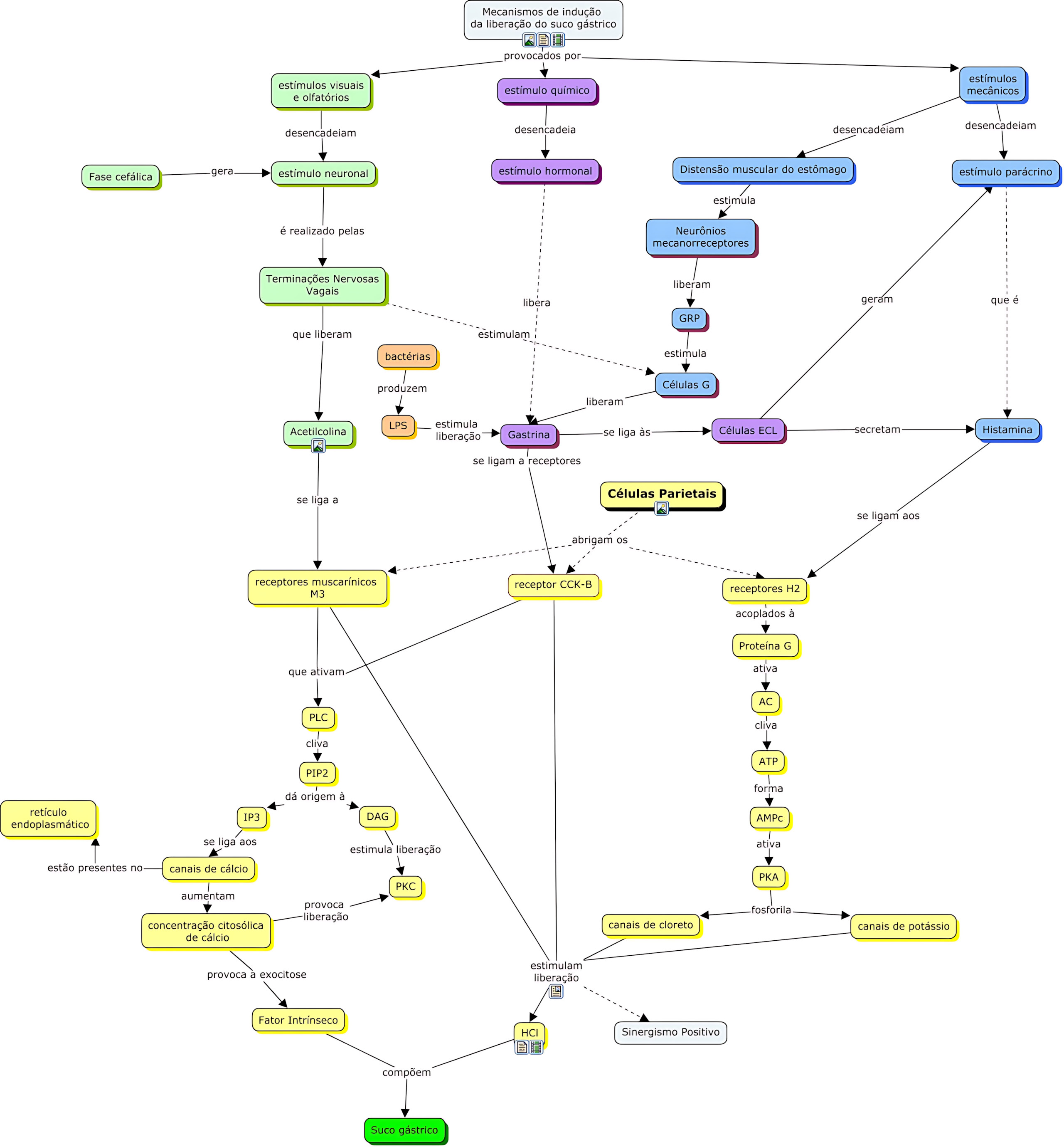 MAPA MENTAL SOBRE SUCO GÁSTRICO