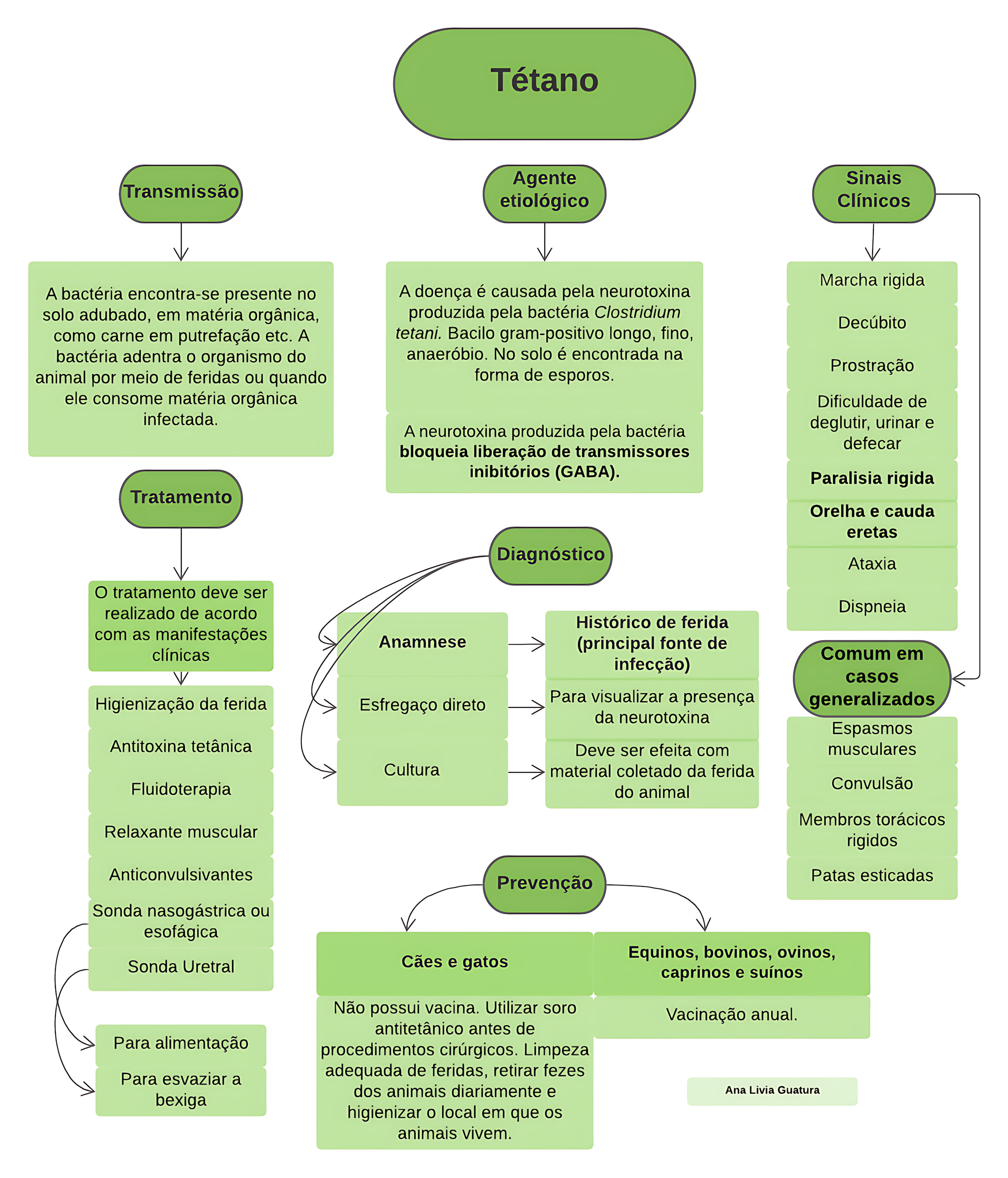 MAPA MENTAL SOBRE TÉTANO