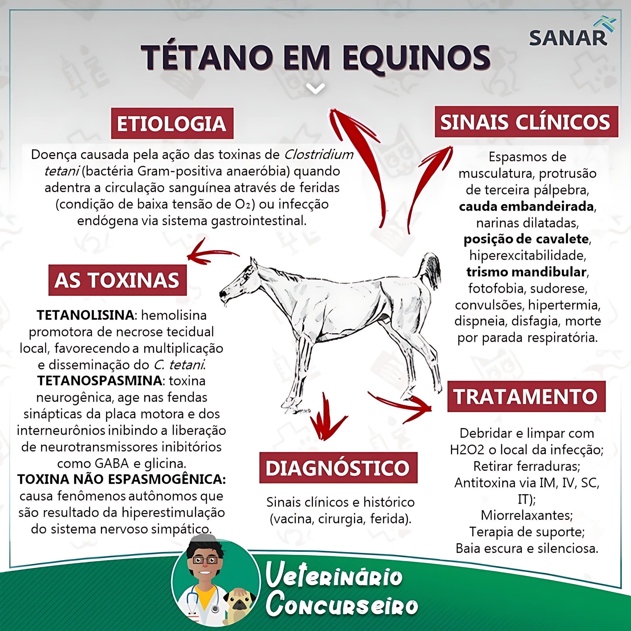 MAPA MENTAL SOBRE TÉTANO