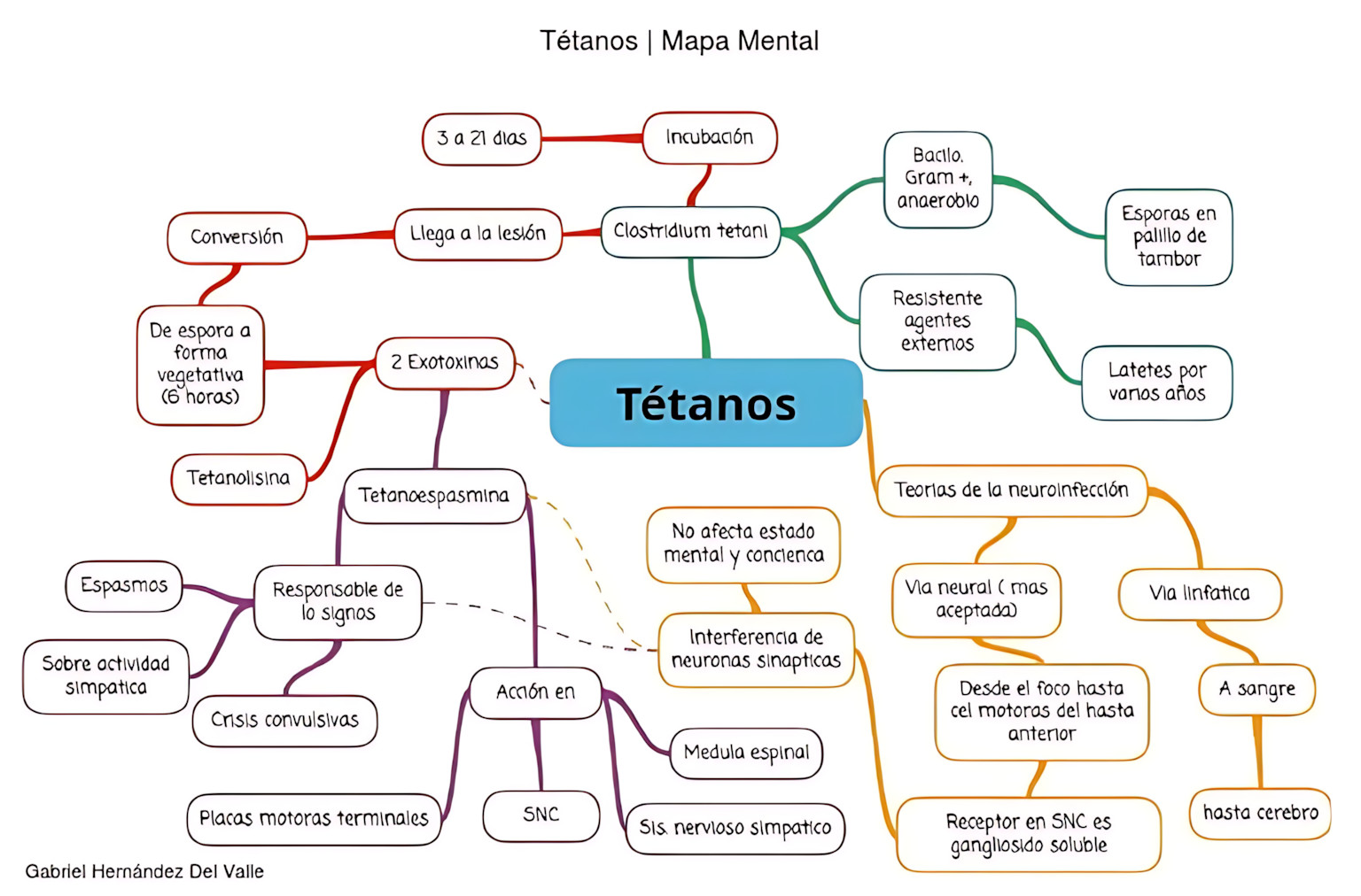 MAPA MENTAL SOBRE TÉTANO