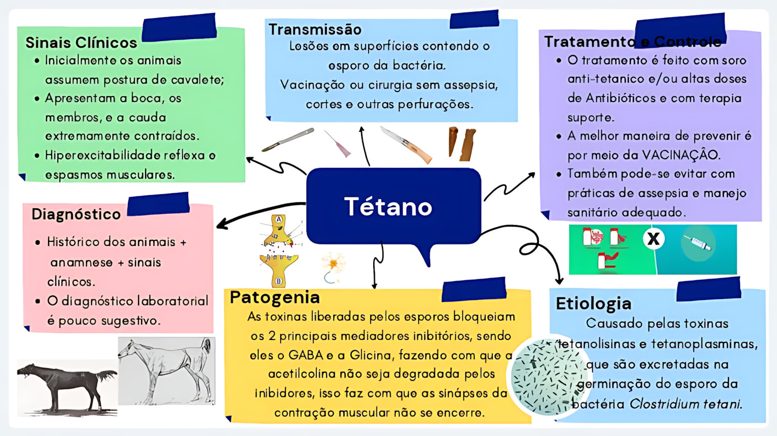MAPA MENTAL SOBRE TÉTANO