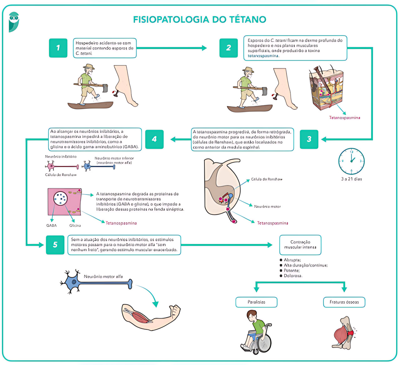 MAPA MENTAL SOBRE TÉTANO