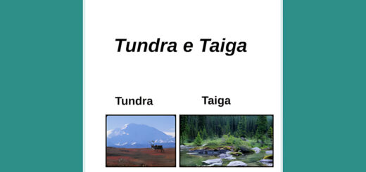 MAPA MENTAL SOBRE TUNDRA E TAIGA