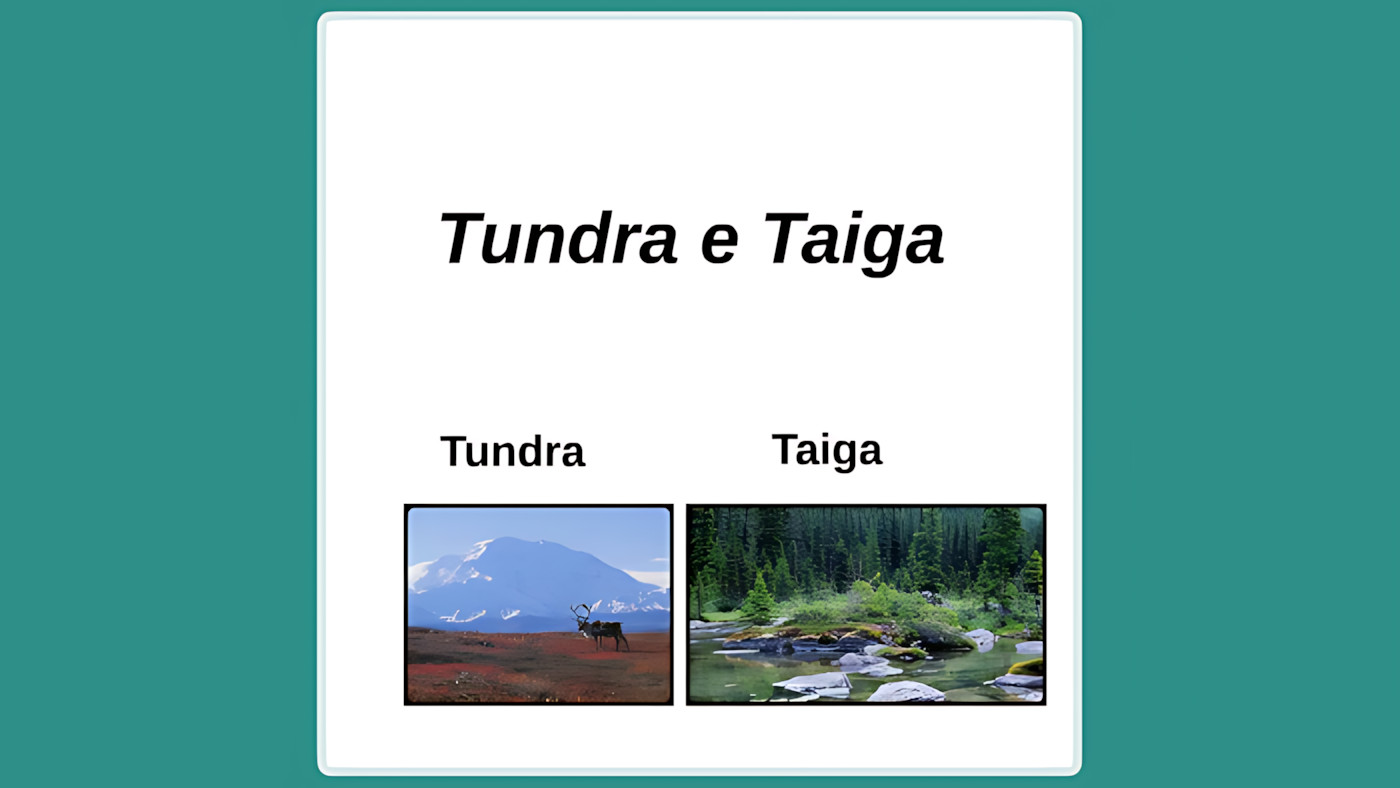 MAPA MENTAL SOBRE TUNDRA E TAIGA