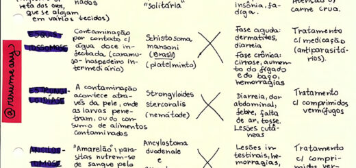 MAPA MENTAL SOBRE VERMINOSES