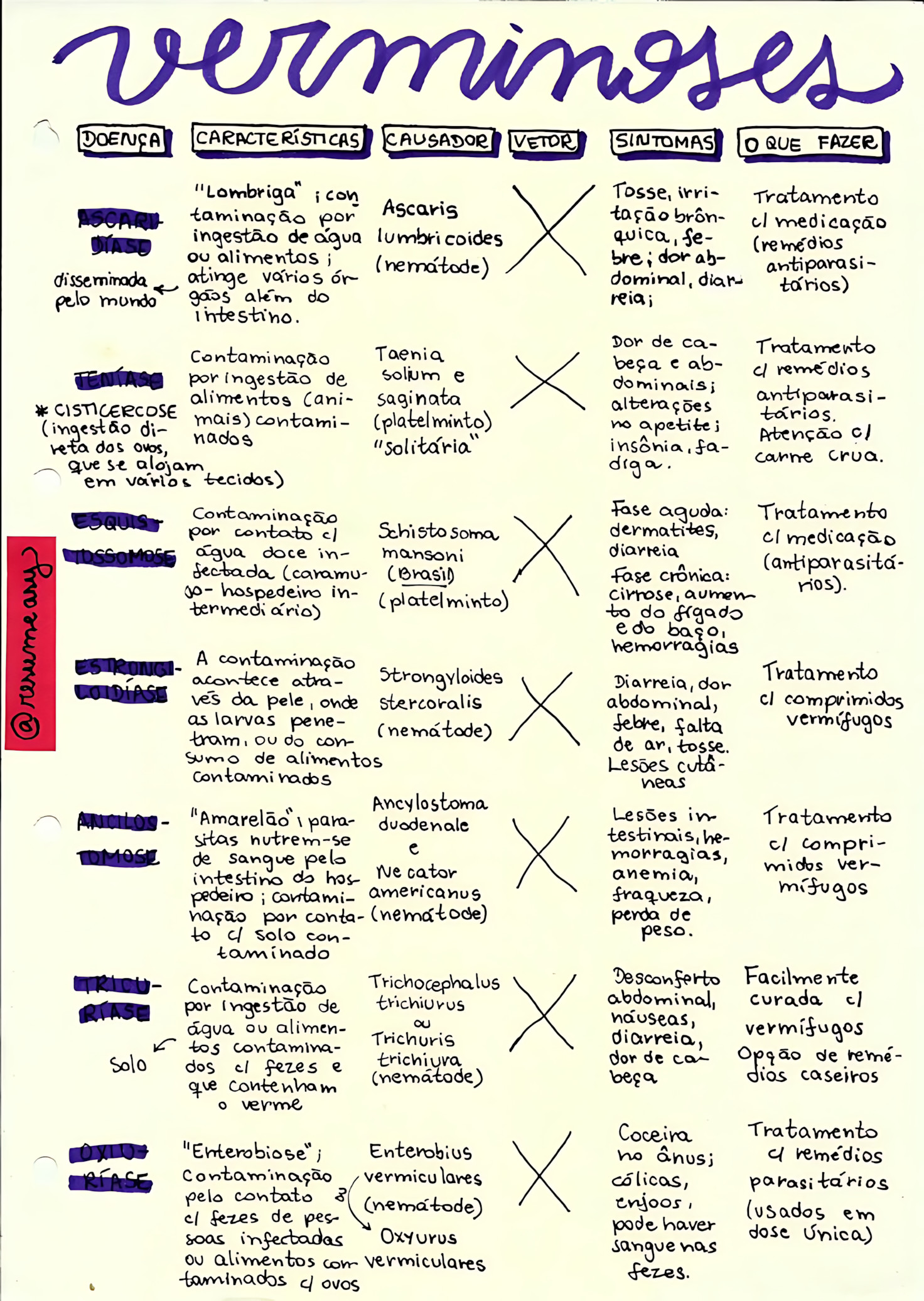 MAPA MENTAL SOBRE VERMINOSES