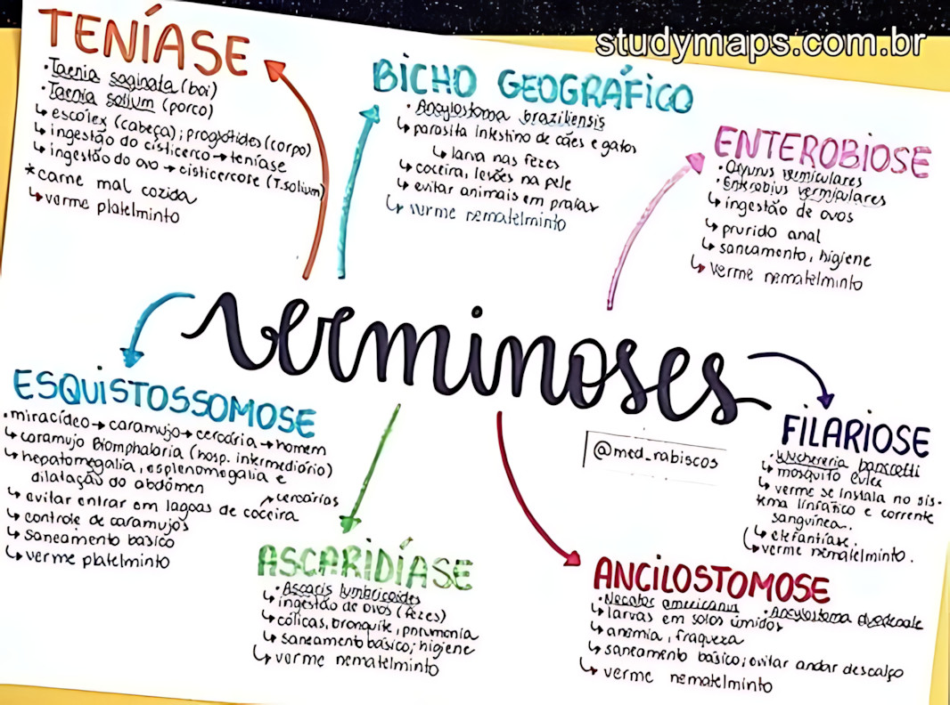 MAPA MENTAL SOBRE VERMINOSES