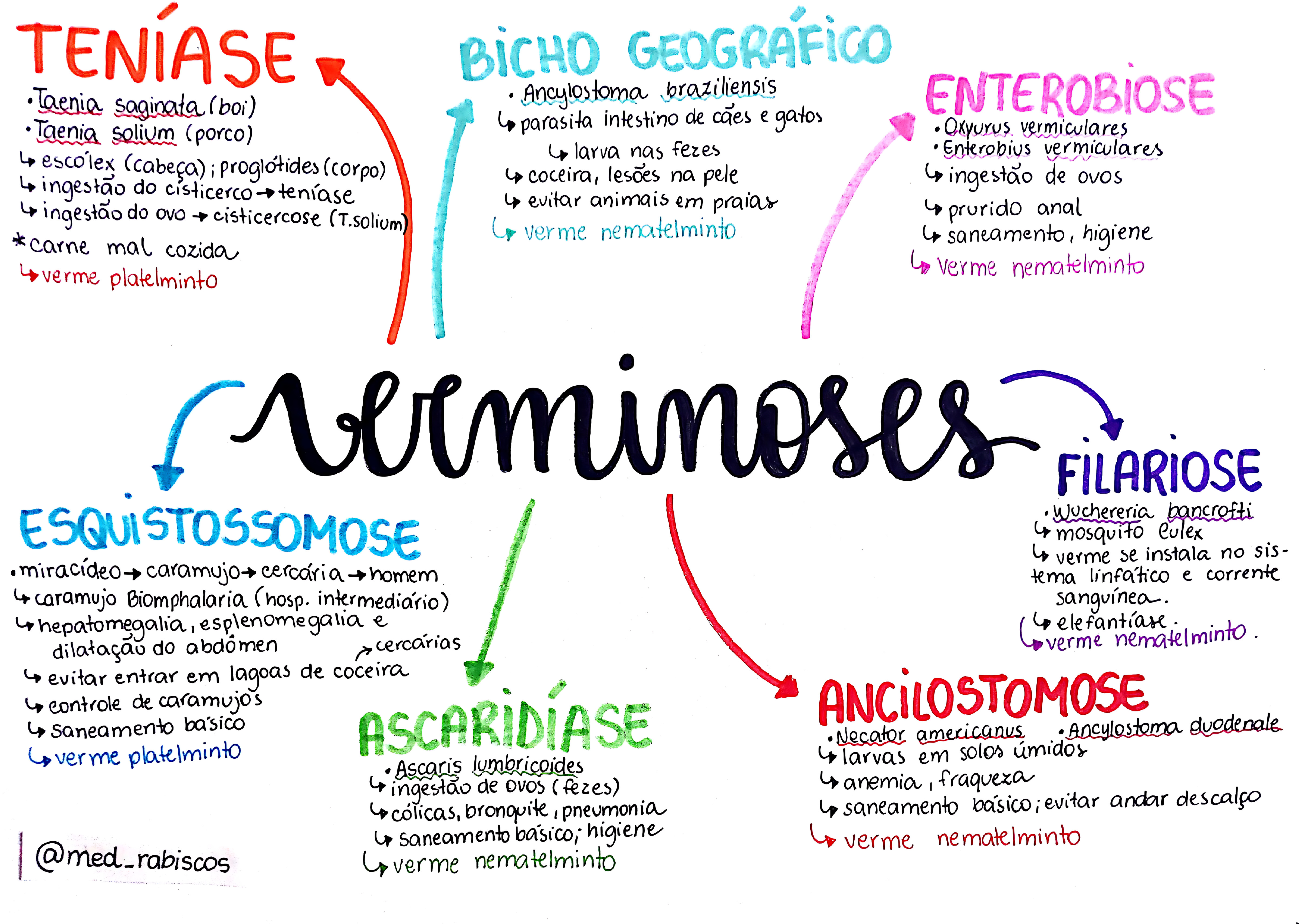 MAPA MENTAL SOBRE VERMINOSES
