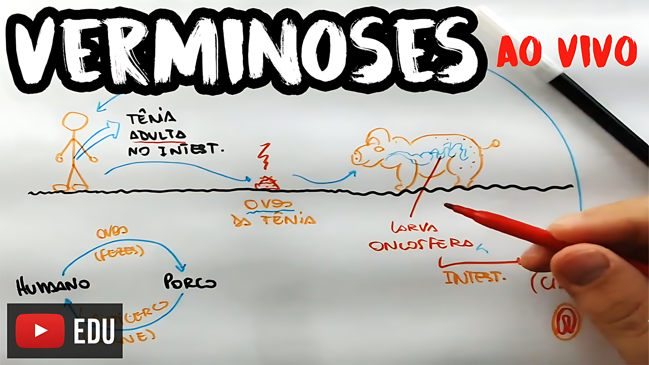 MAPA MENTAL SOBRE VERMINOSES
