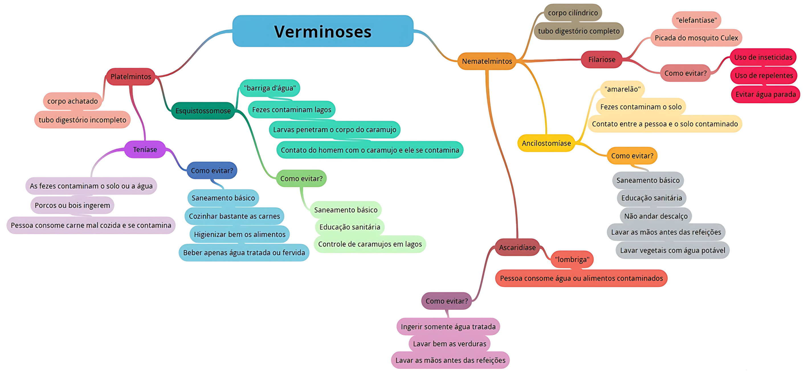 MAPA MENTAL SOBRE VERMINOSES