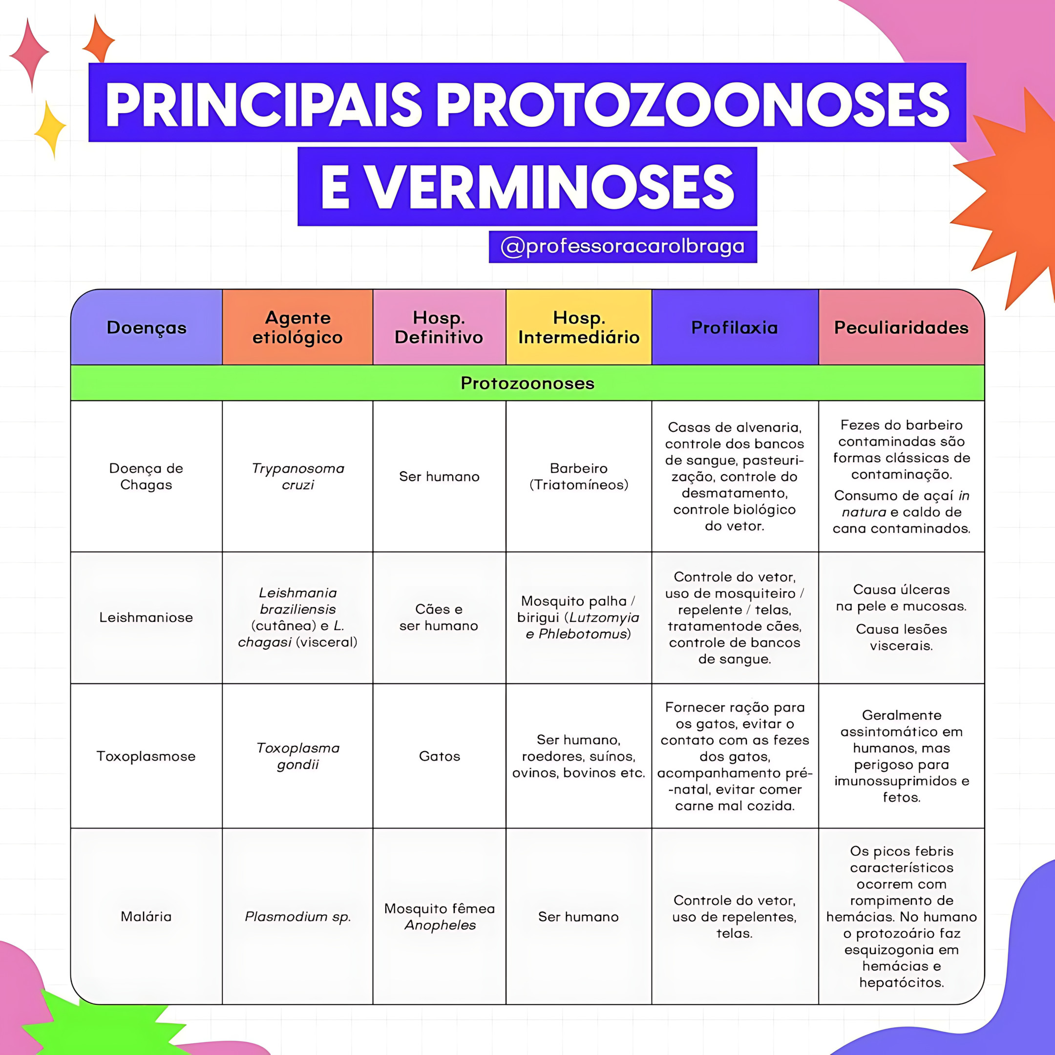 MAPA MENTAL SOBRE VERMINOSES