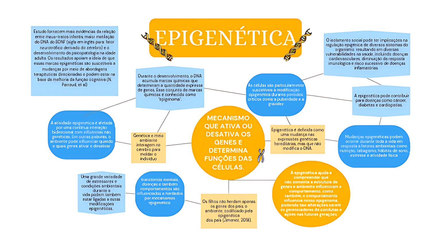 MAPA MENTAL SOBRE EPIGENÉTICA