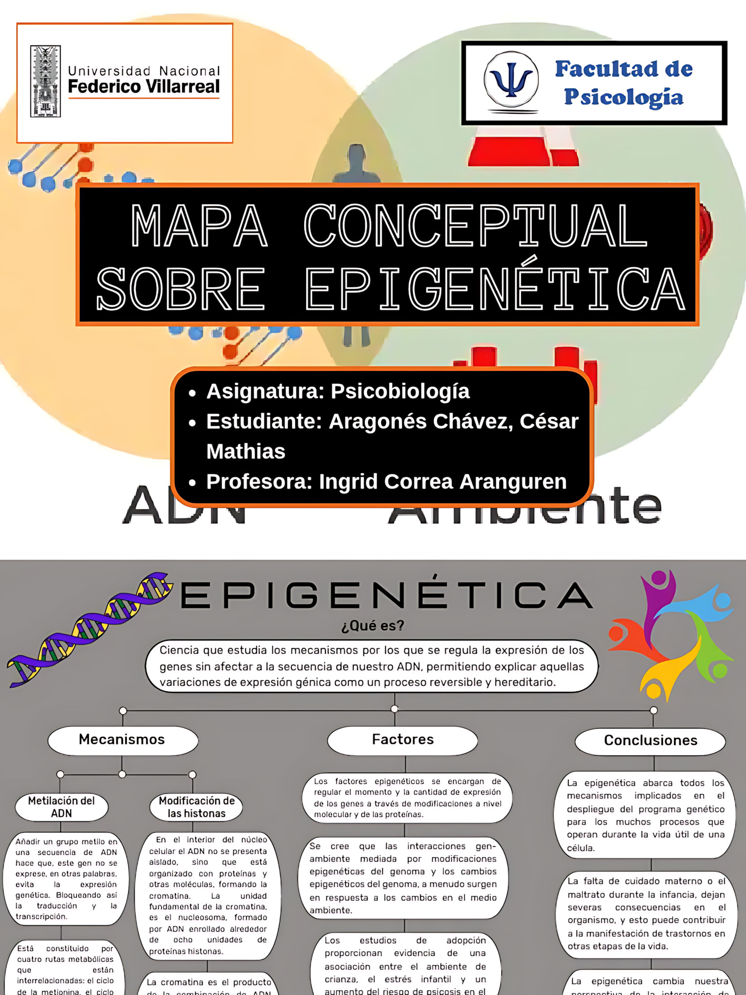 MAPA MENTAL SOBRE EPIGENÉTICA