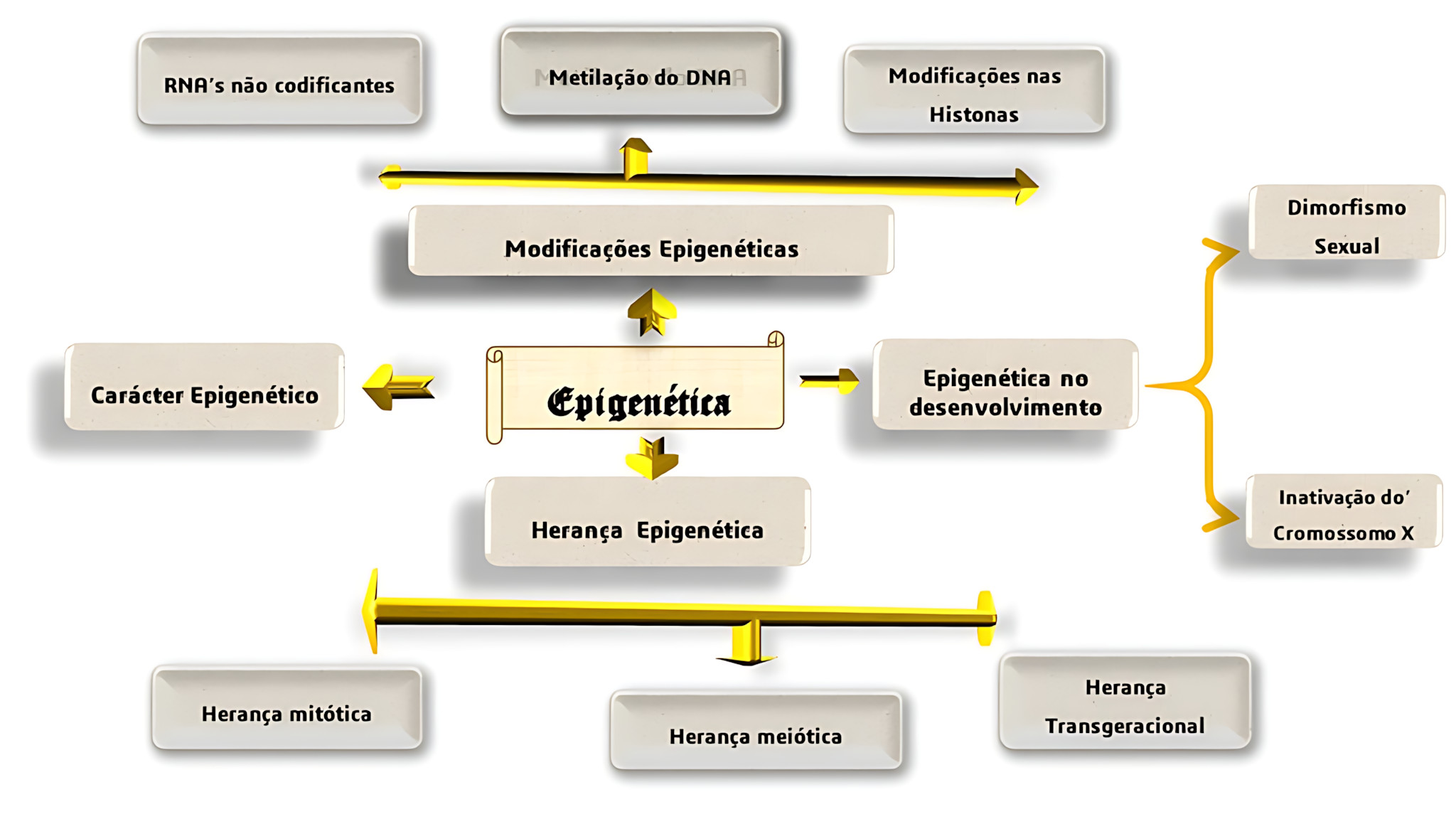 MAPA MENTAL SOBRE EPIGENÉTICA