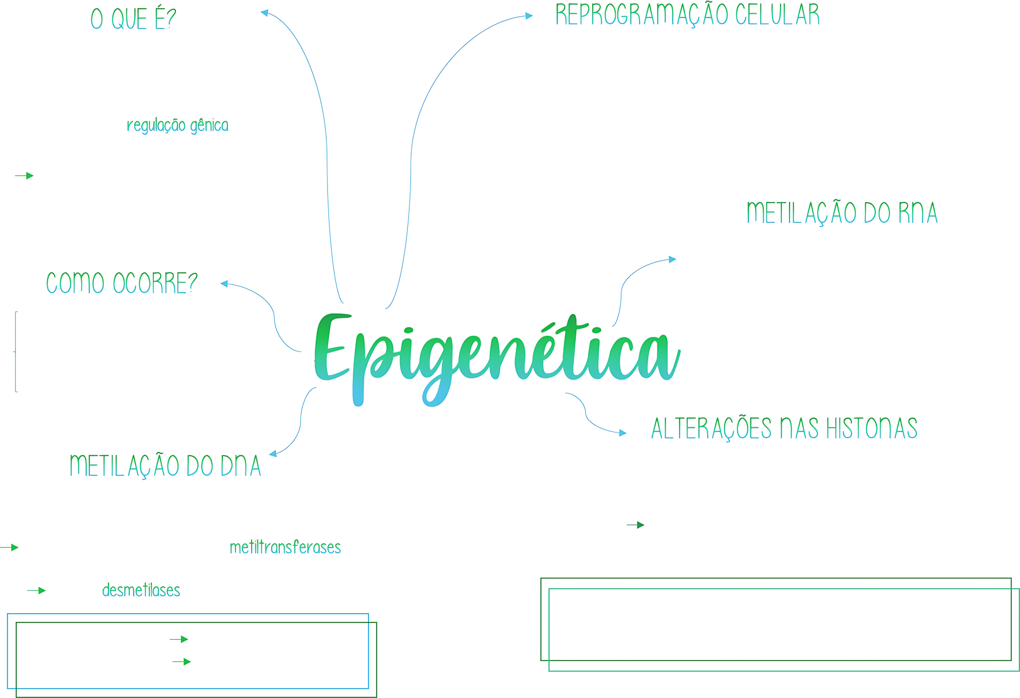MAPA MENTAL SOBRE EPIGENÉTICA