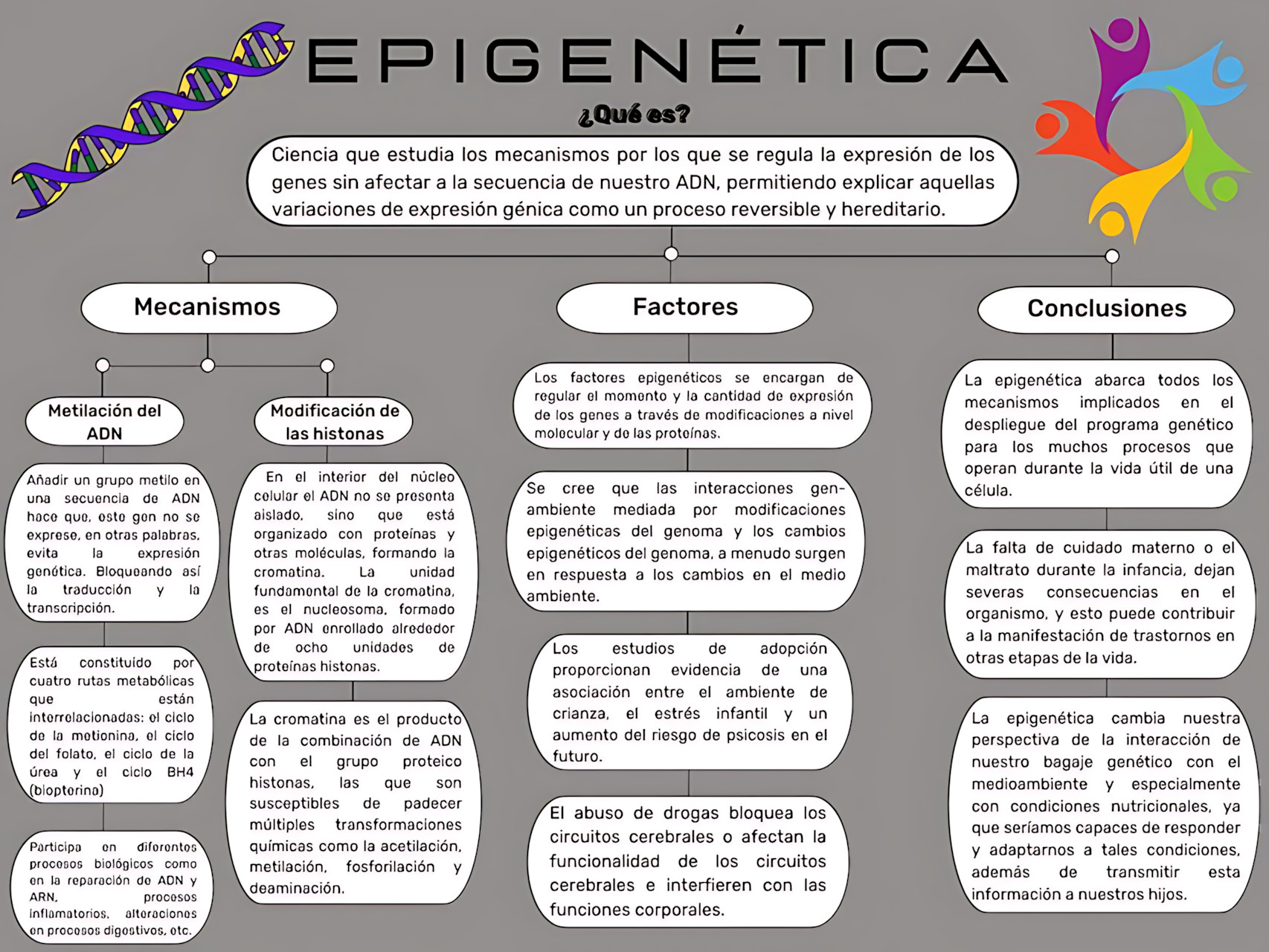 MAPA MENTAL SOBRE EPIGENÉTICA