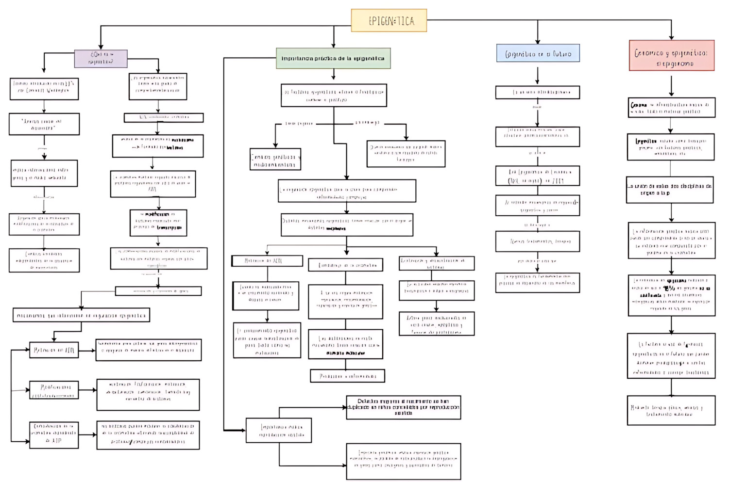 MAPA MENTAL SOBRE EPIGENÉTICA