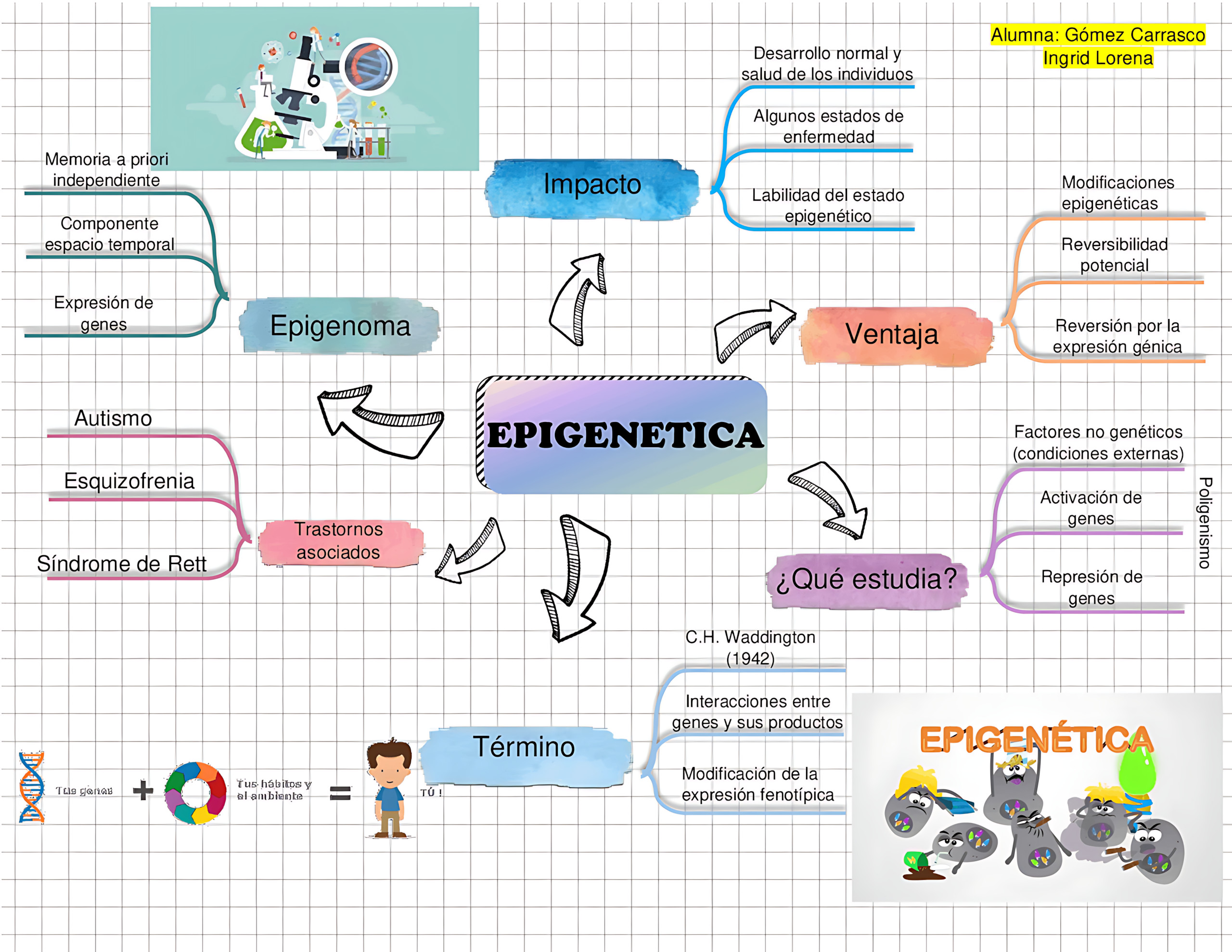 MAPA MENTAL SOBRE EPIGENÉTICA