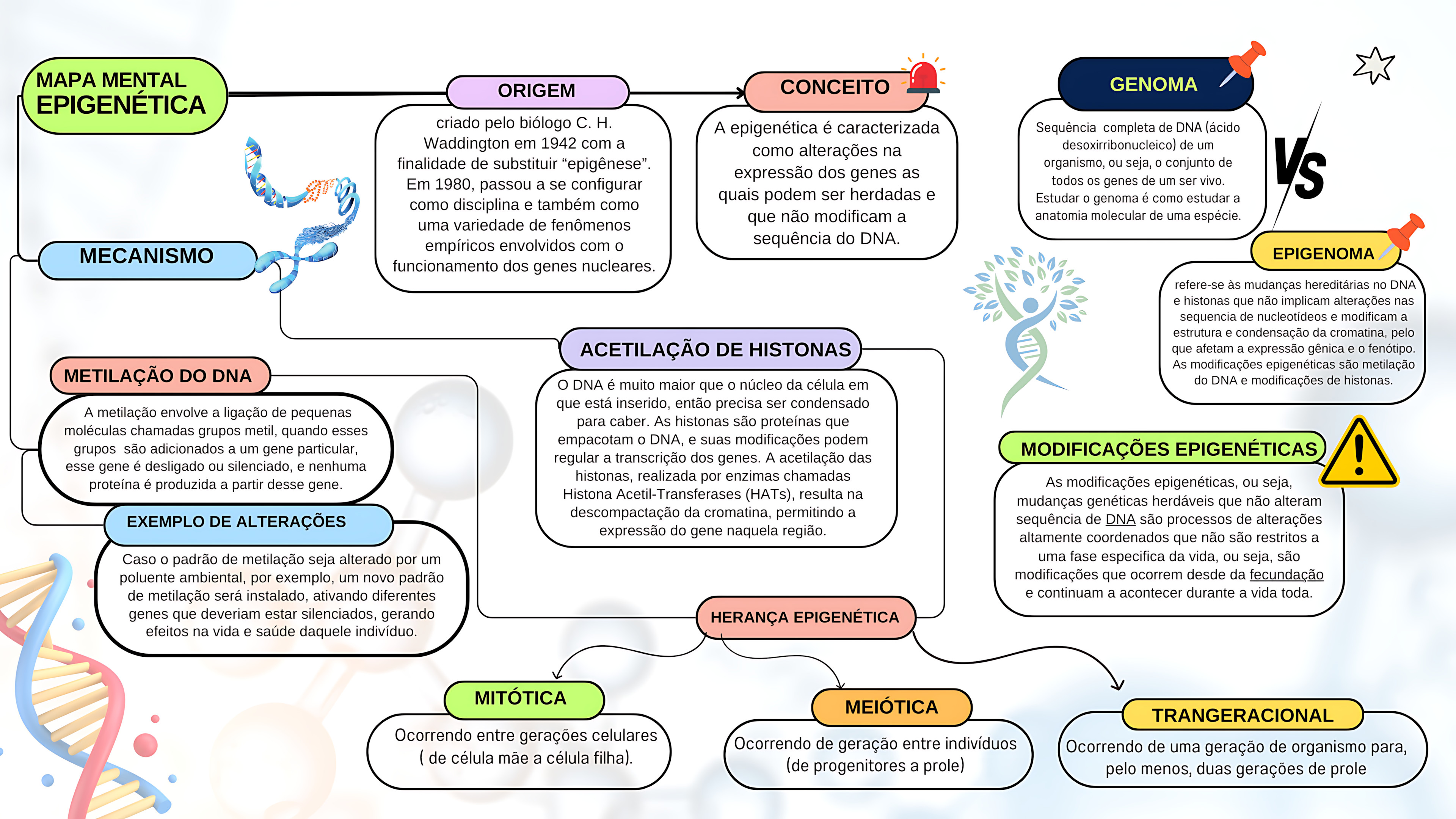MAPA MENTAL SOBRE EPIGENÉTICA