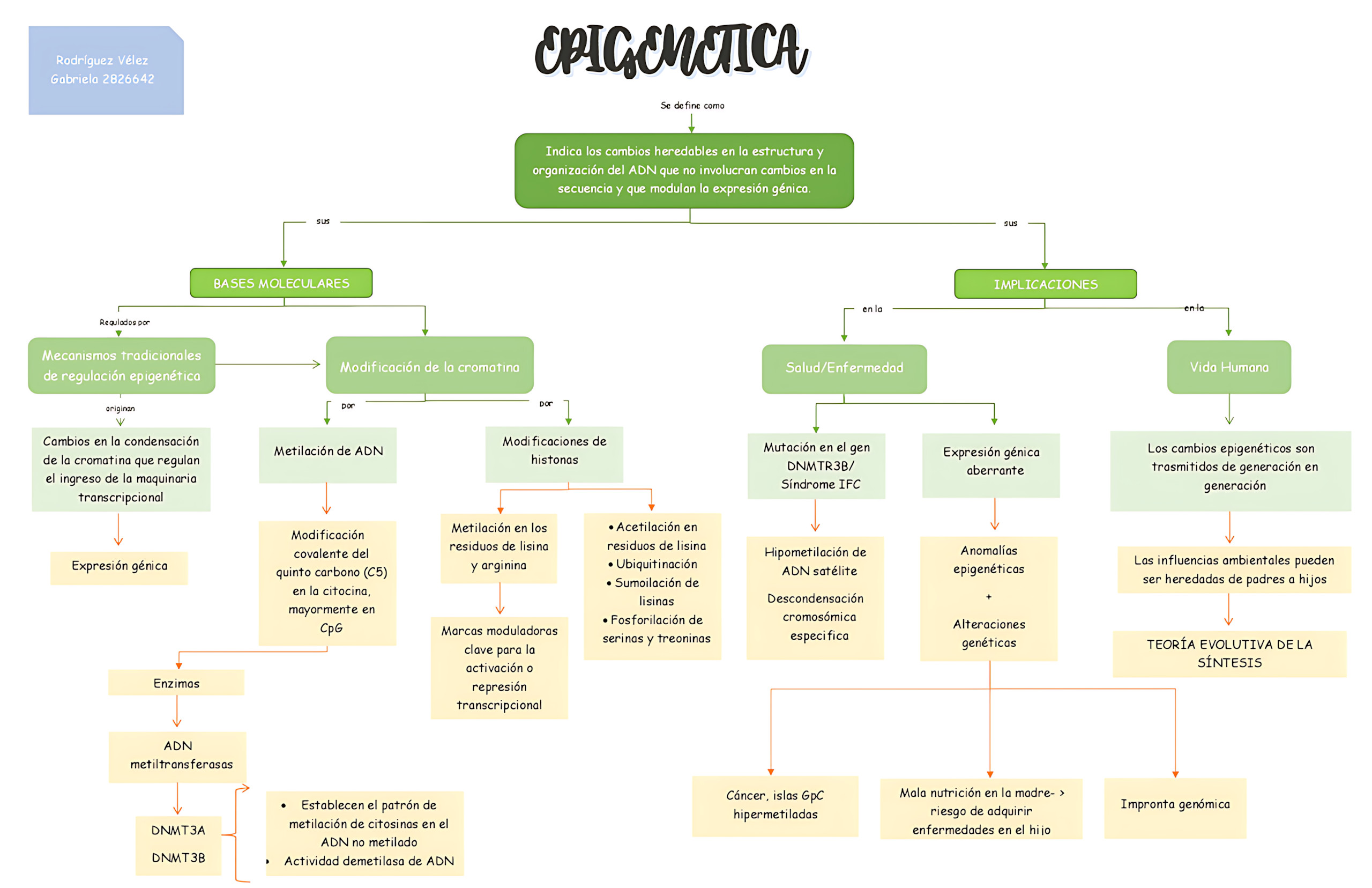 MAPA MENTAL SOBRE EPIGENÉTICA
