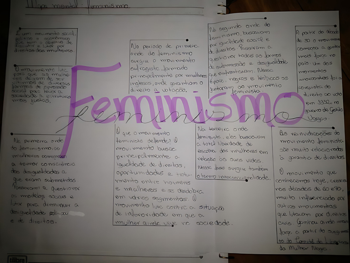 MAPA MENTAL SOBRE MOVIMENTO FEMINISTA