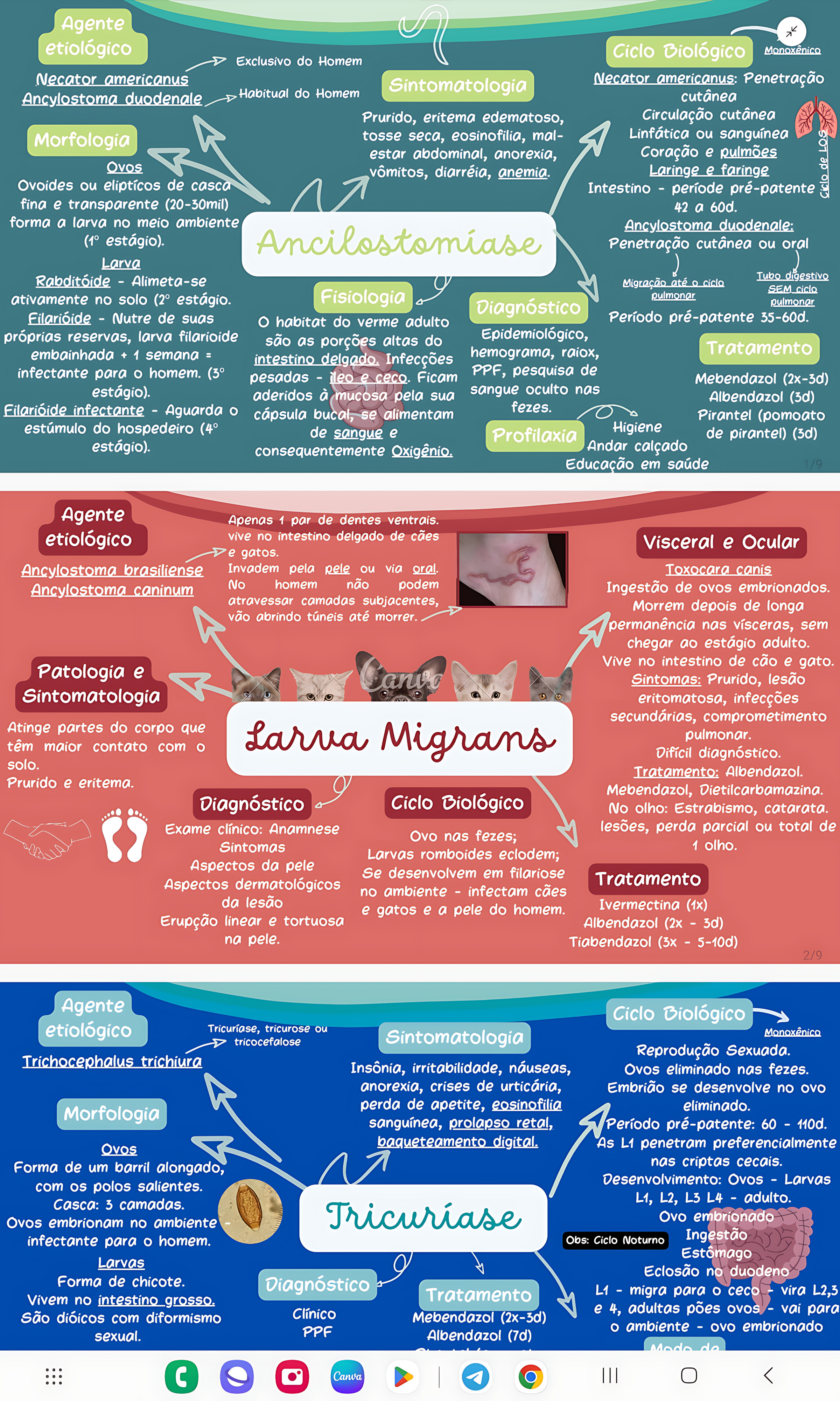 MAPA MENTAL SOBRE ANCILOSTOMOSE