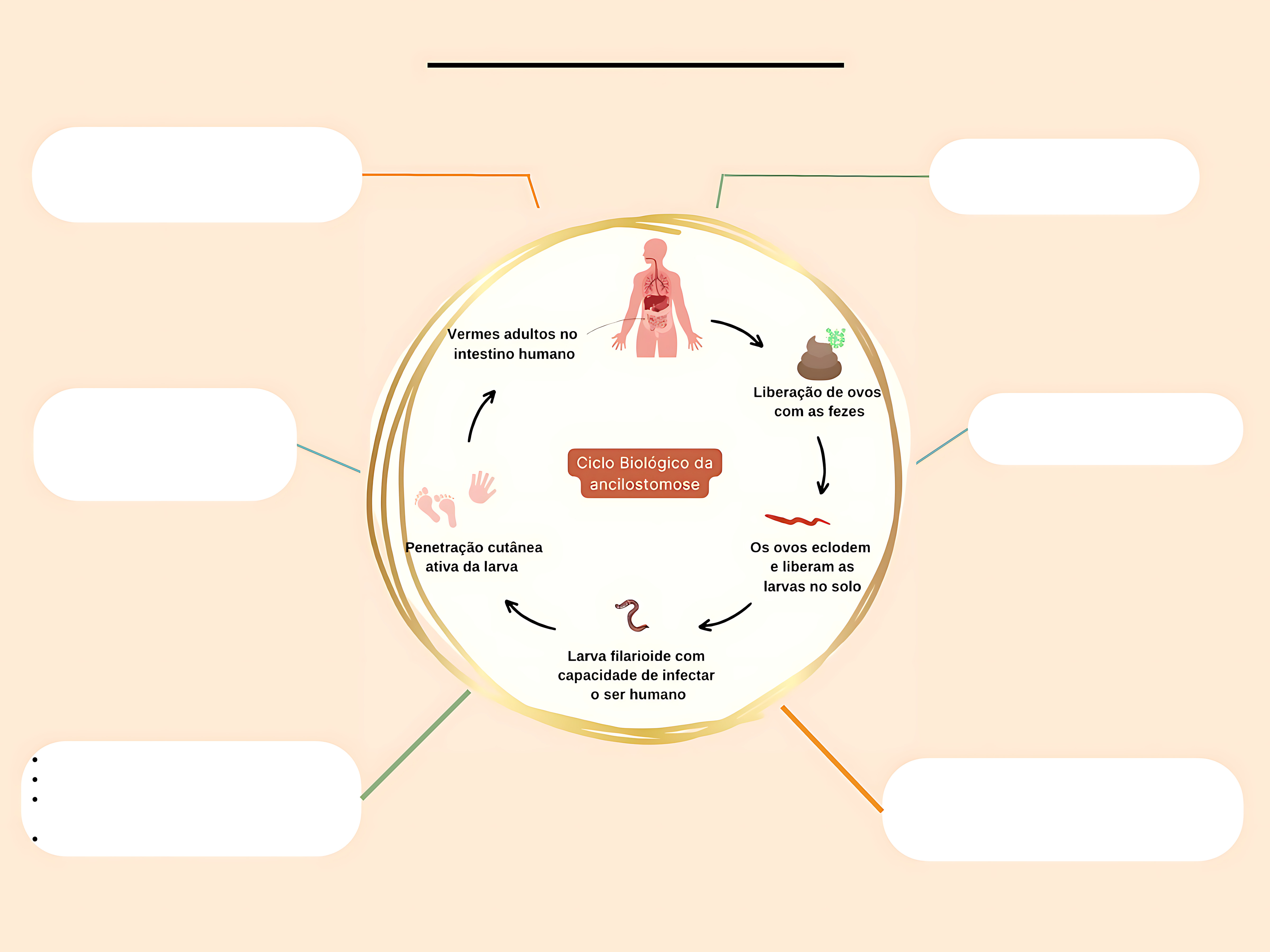 MAPA MENTAL SOBRE ANCILOSTOMOSE