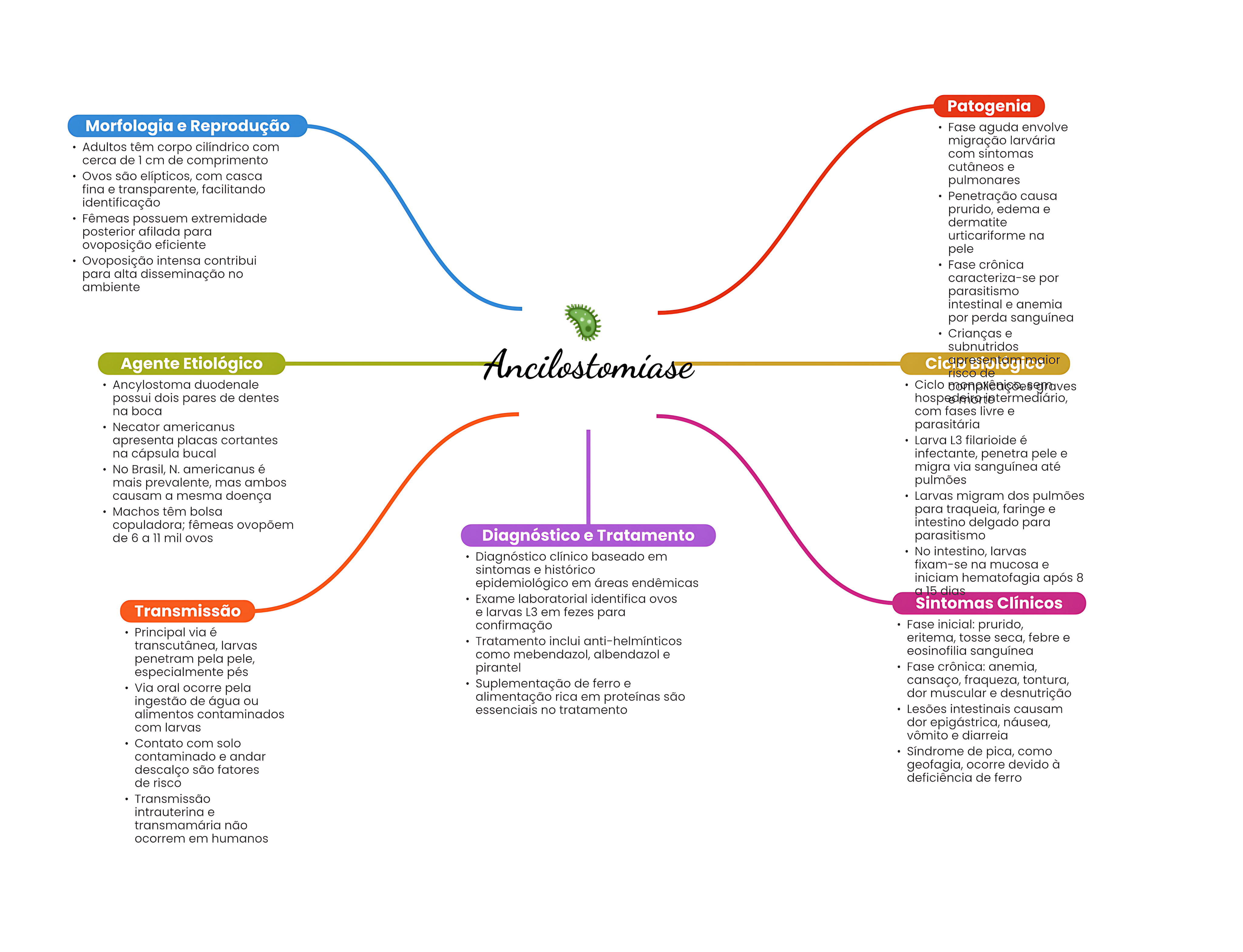 MAPA MENTAL SOBRE ANCILOSTOMOSE