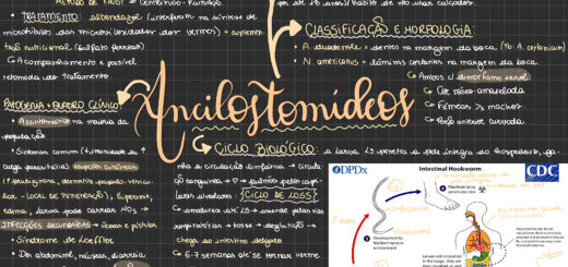 MAPA MENTAL SOBRE ANCILOSTOMOSE
