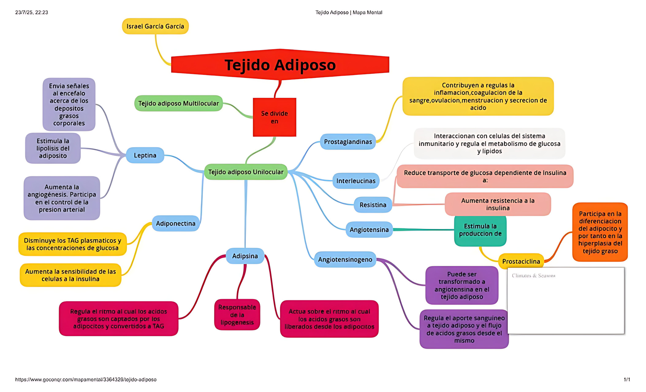 MAPA MENTAL SOBRE TECIDO ADIPOSO