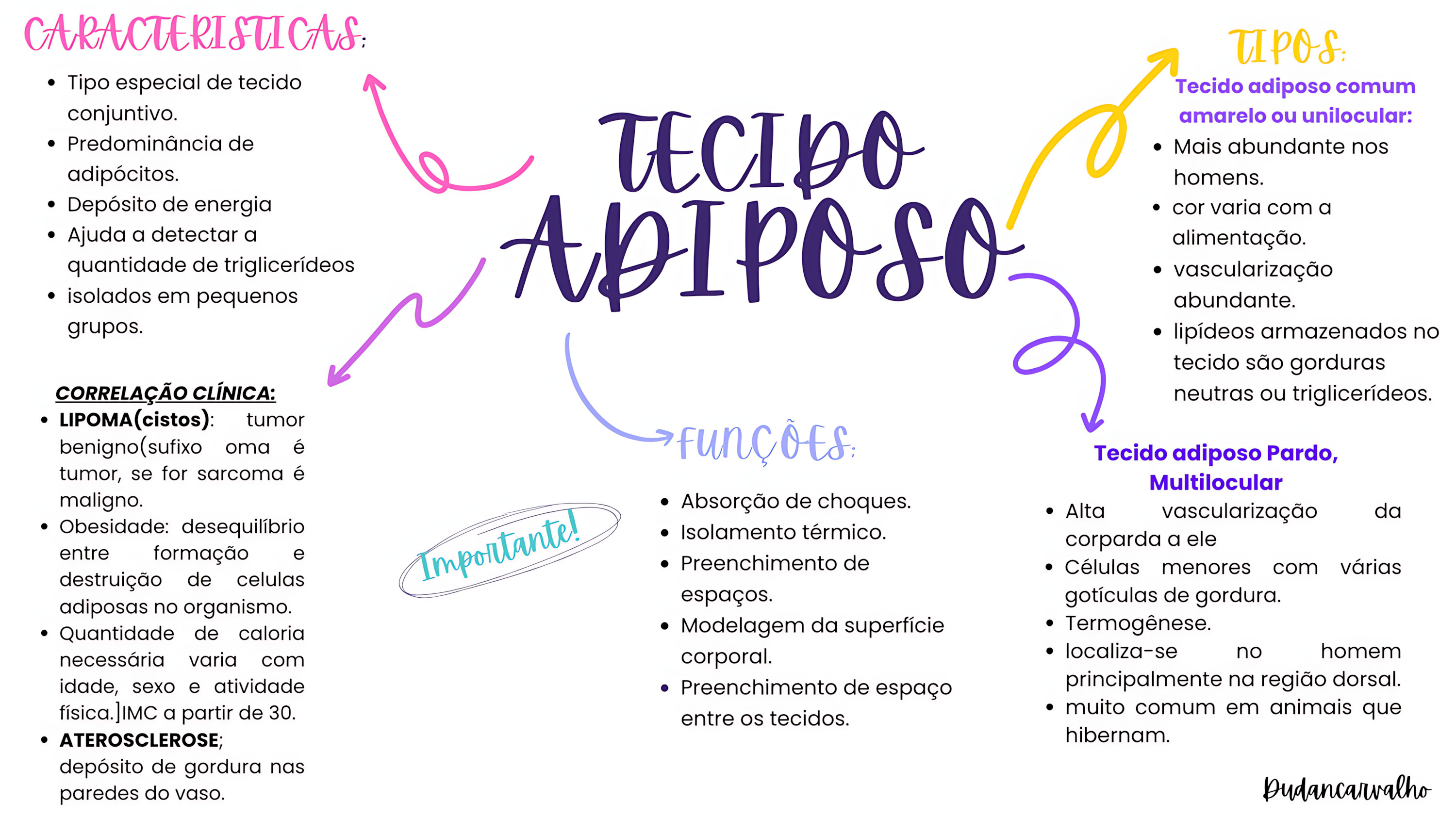 MAPA MENTAL SOBRE TECIDO ADIPOSO
