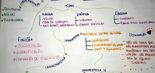 MAPA MENTAL SOBRE TECIDO CARTILAGINOSO