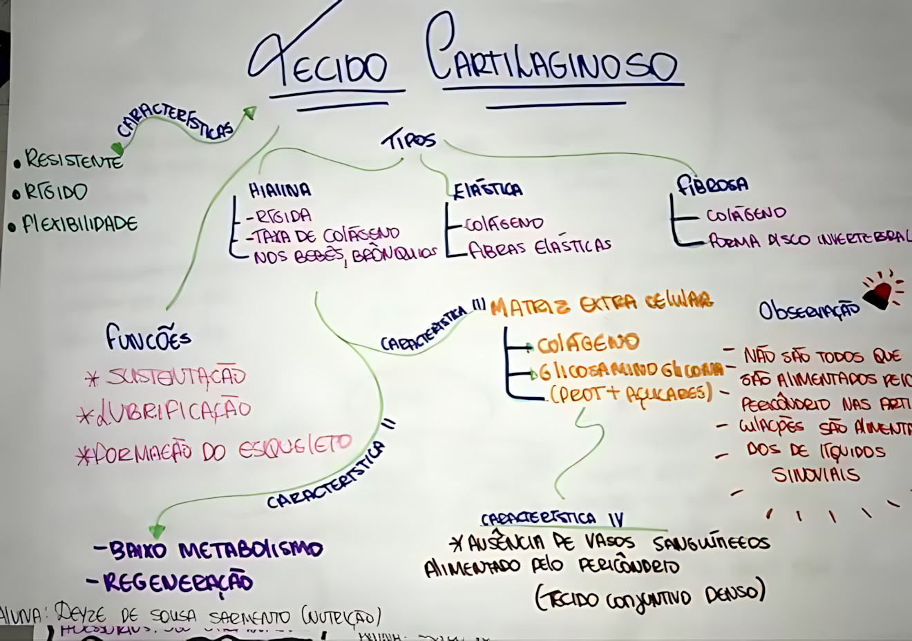 MAPA MENTAL SOBRE TECIDO CARTILAGINOSO