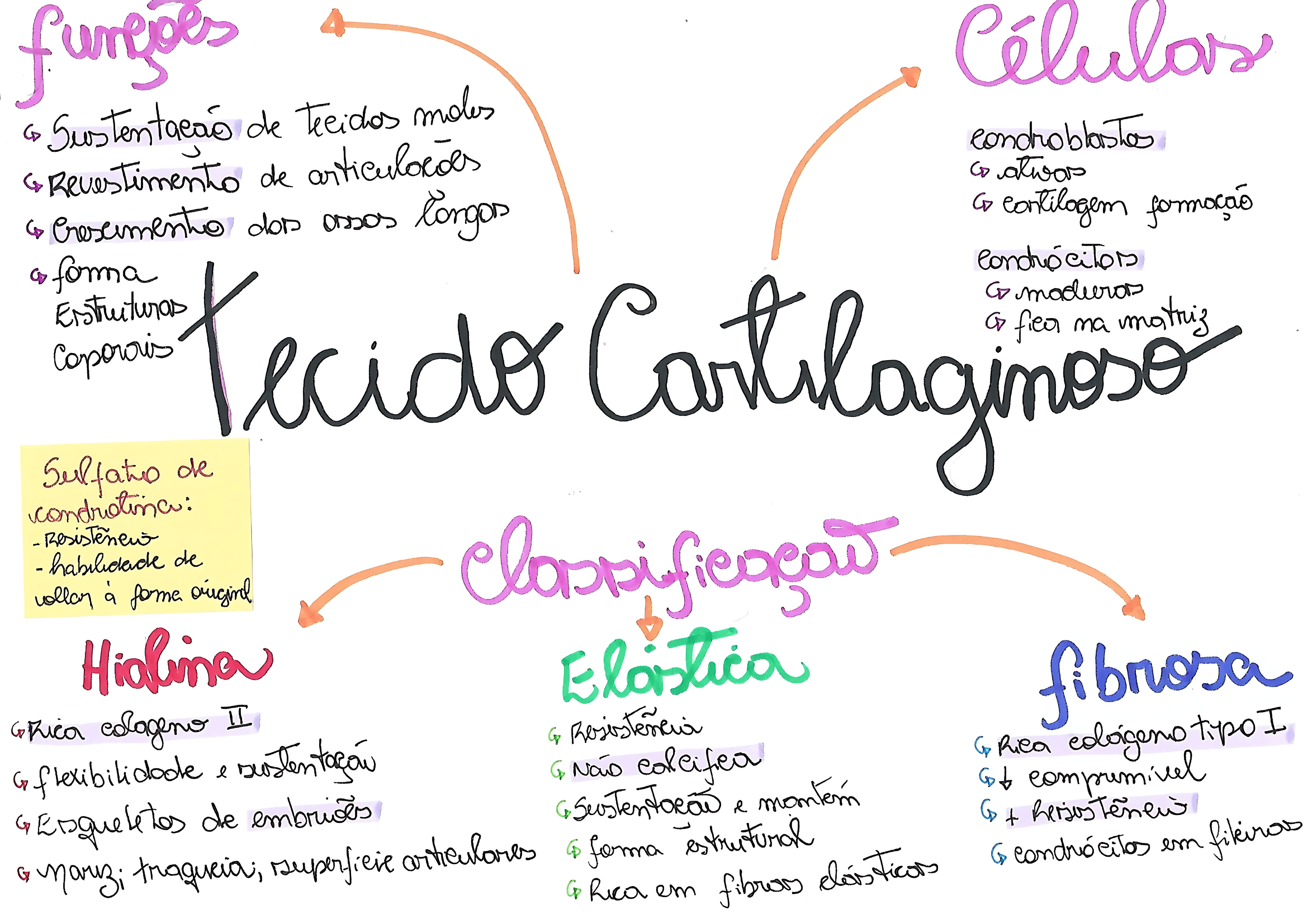 MAPA MENTAL SOBRE TECIDO CARTILAGINOSO
