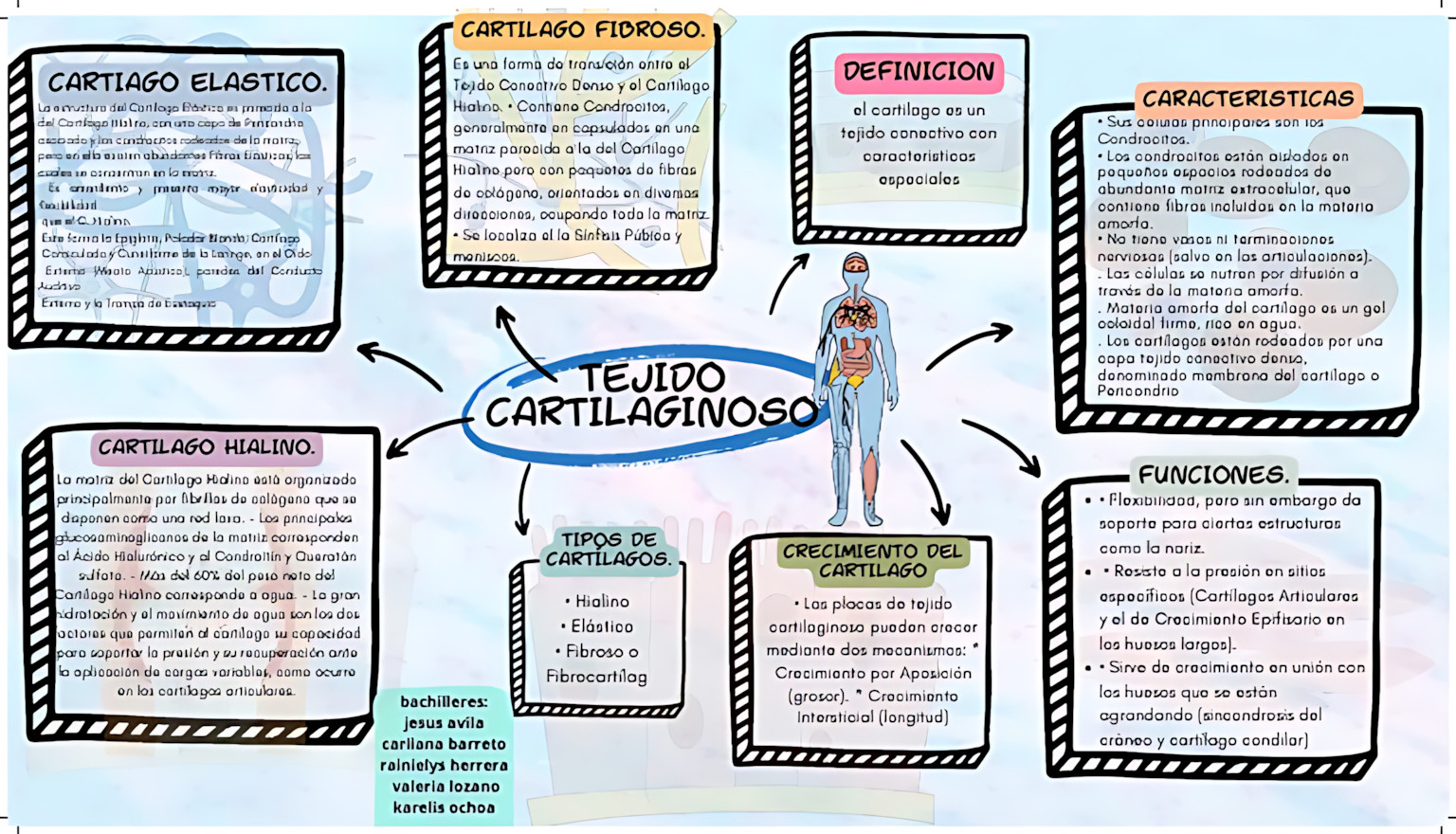 MAPA MENTAL SOBRE TECIDO CARTILAGINOSO