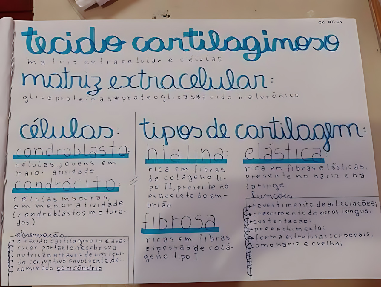 MAPA MENTAL SOBRE TECIDO CARTILAGINOSO