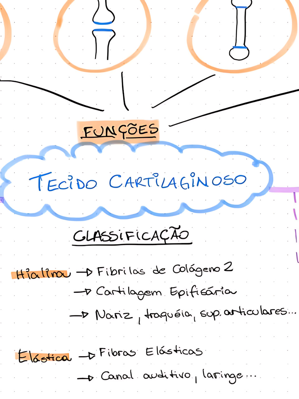 MAPA MENTAL SOBRE TECIDO CARTILAGINOSO